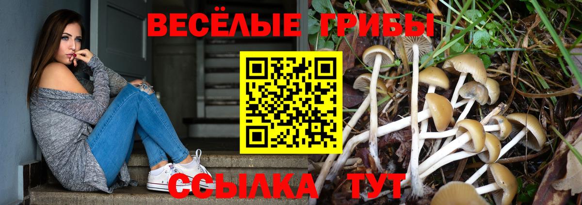 Галлюциногенные грибы Magic Shrooms  Вход с VPN  Добрянка 